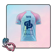 QT Limited Edition | TOTO
